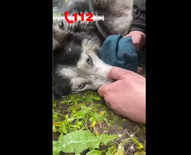 в Минске бойцы МЧС