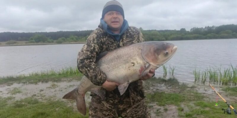 В Гродненской области