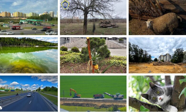 Собрали самые необычные и интересные