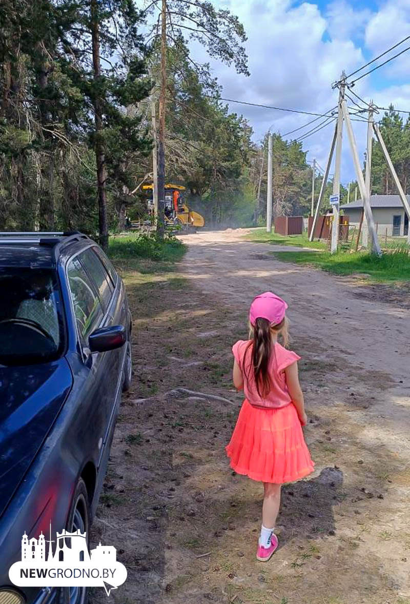 Дачники под Гродно вскладчину построили