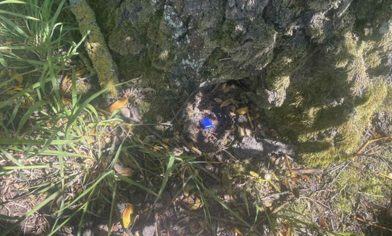 Под Щучином милиционеры задержали минчанина