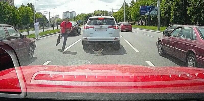 В Минске