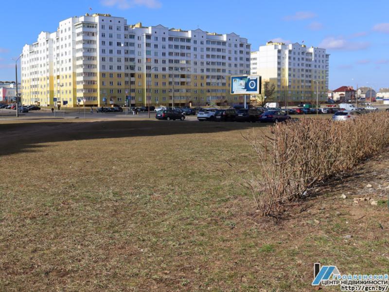 Пустырь в центре Ольшанки попробуют