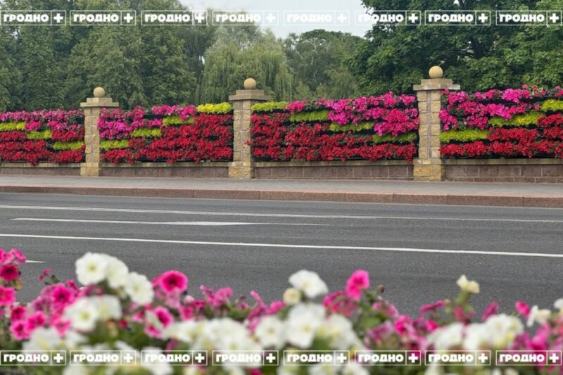 рассказываем все подробности о