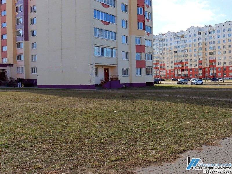 Пустырь в центре Ольшанки попробуют