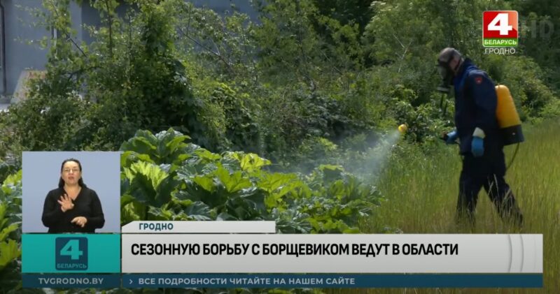 в Гродненской области