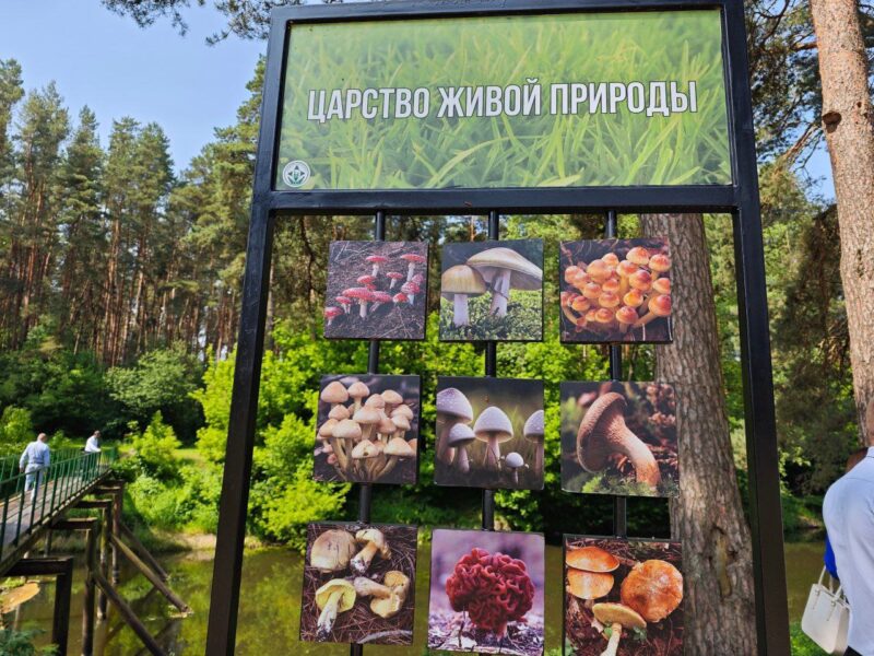 В Скиделе появилась экотропа