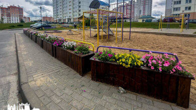 Помните самый цветущий двор в Гродно?