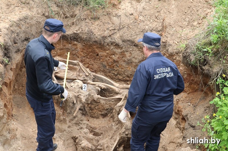 Под Сморгонью