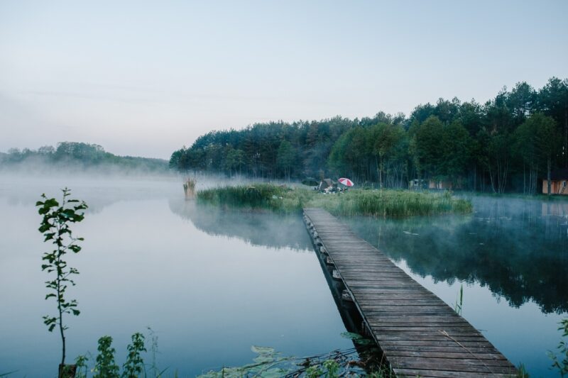 Сухое и жаркое лето отменил
