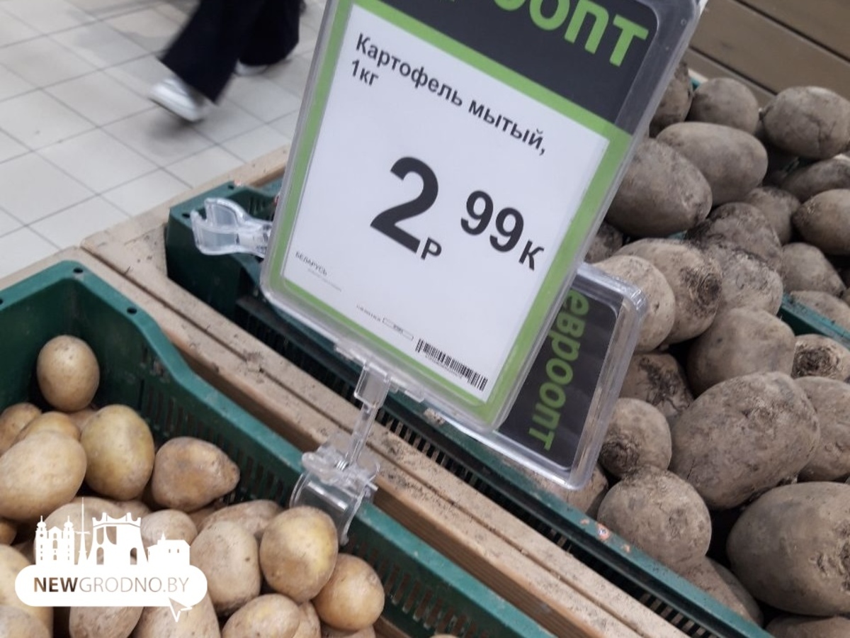 На прилавках в Гродно появилась молодая картошка
