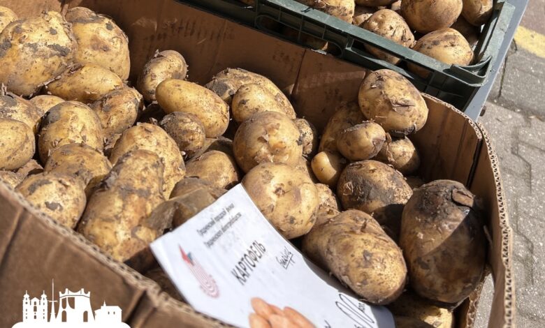 На прилавках в Гродно появилась молодая картошка