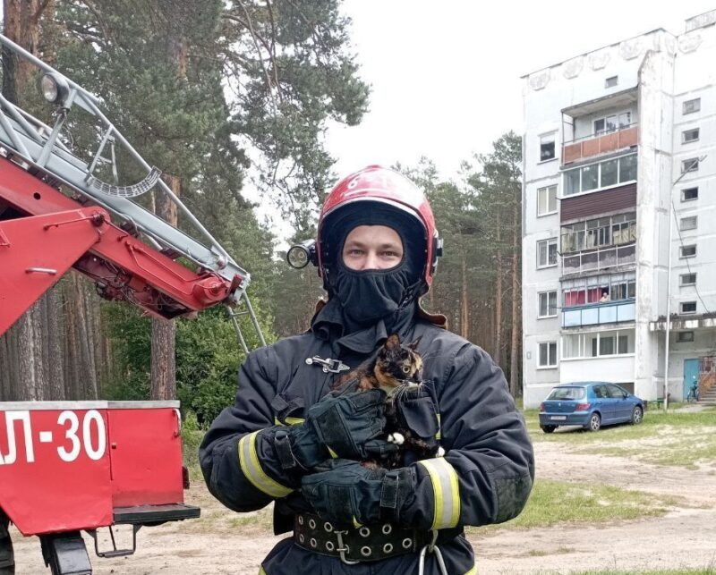 Под Дятлово