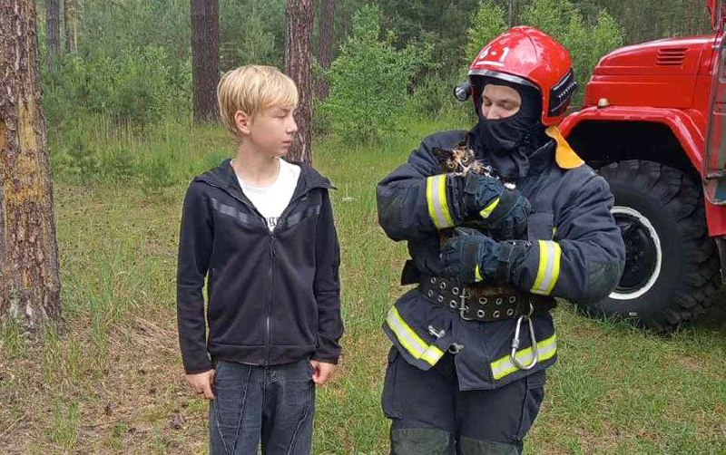 Под Дятлово