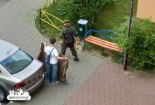 Оригинальный способ кошения травы