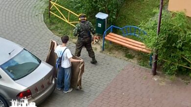 Оригинальный способ кошения травы