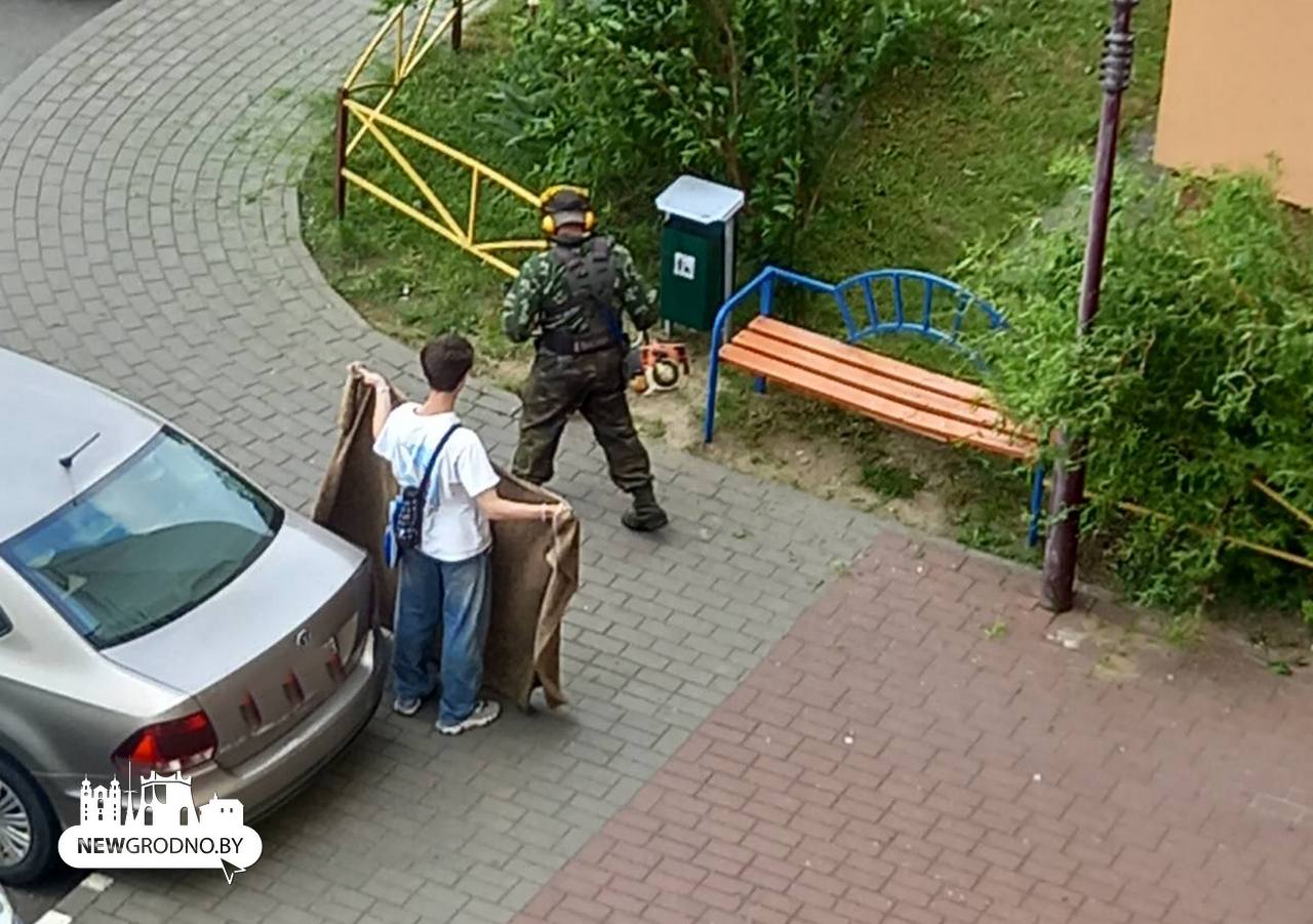 Оригинальный способ кошения травы