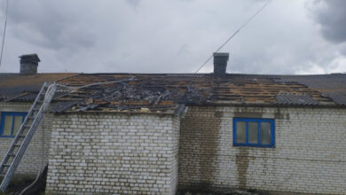 Более 80 телят эвакуировали