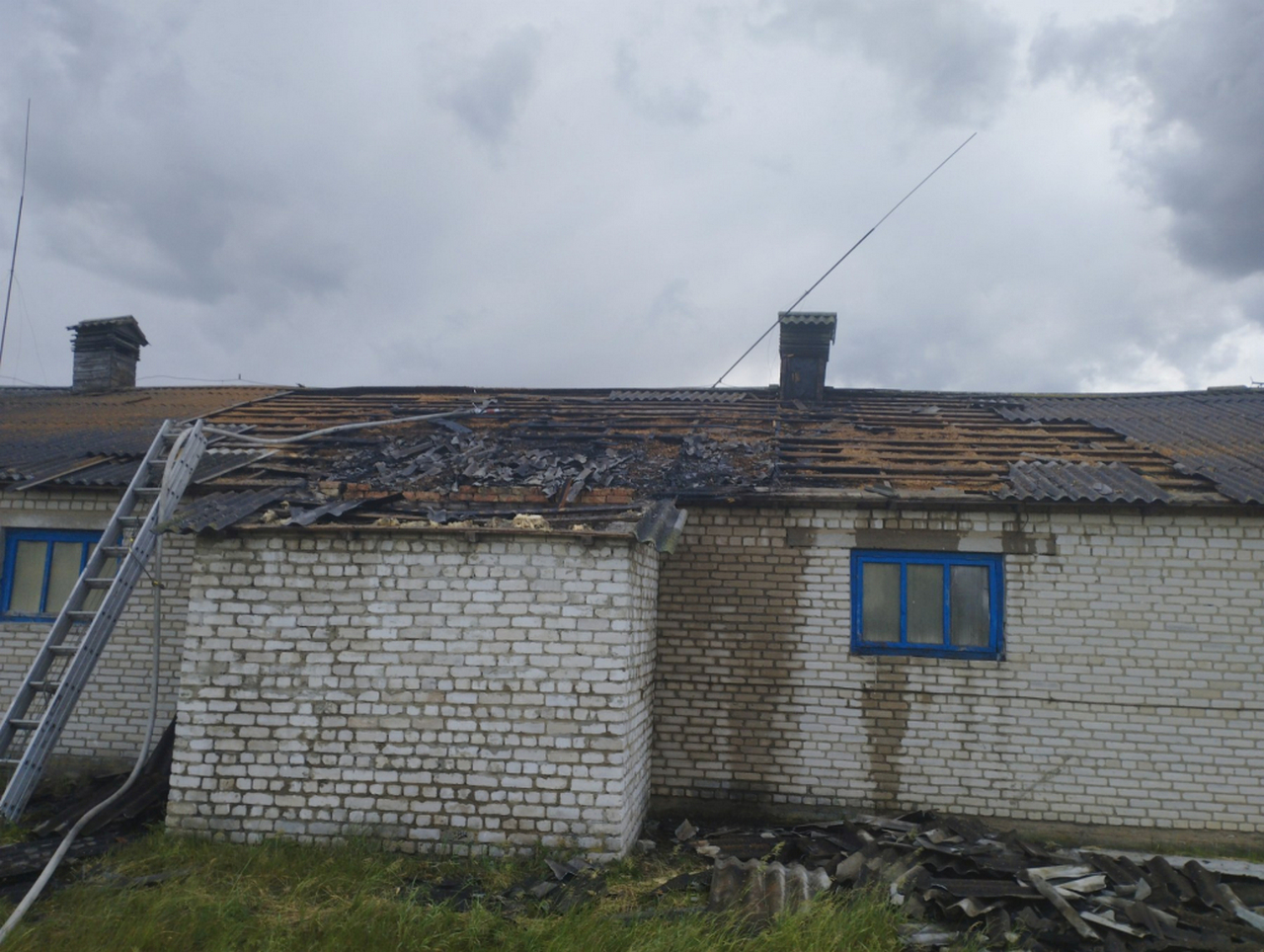 Более 80 телят эвакуировали