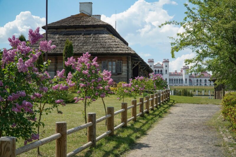 Сколько в Беларуси агроэкоусадеб