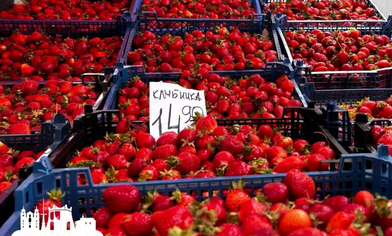 На рынках в Гродно подешевела клубника