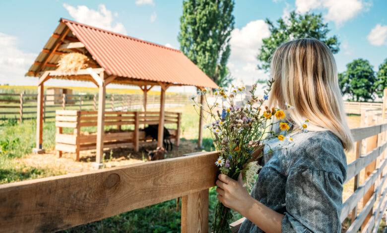 Новый законопроект по агроусадьбам