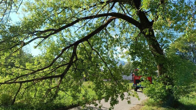 Гродненские спасатели рассказали