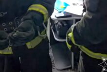 В квартиру белорусов забралась змея