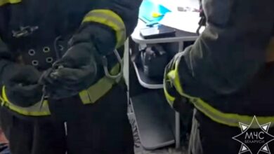 В квартиру белорусов забралась змея