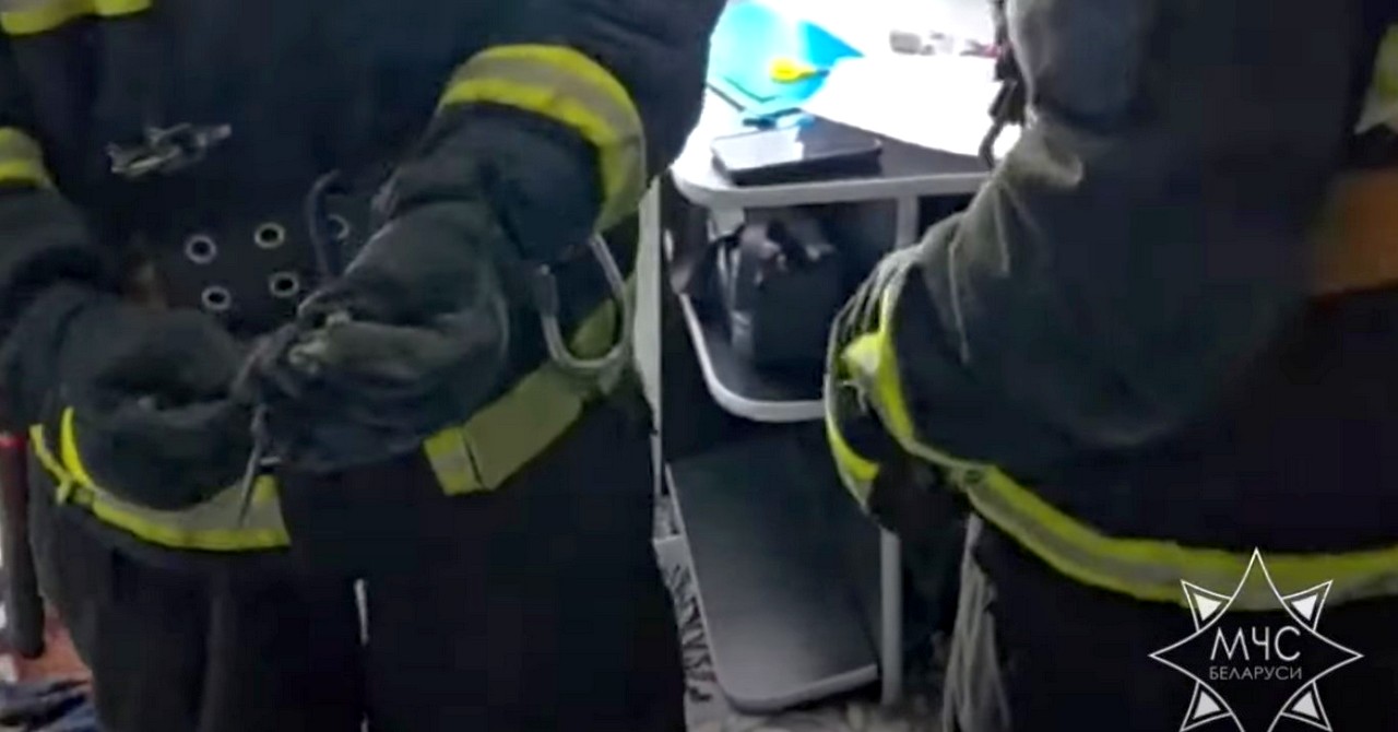 В квартиру белорусов забралась змея