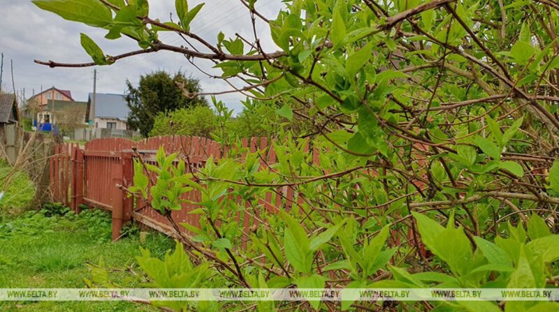 Госконтроль проверил садоводческие товарищества