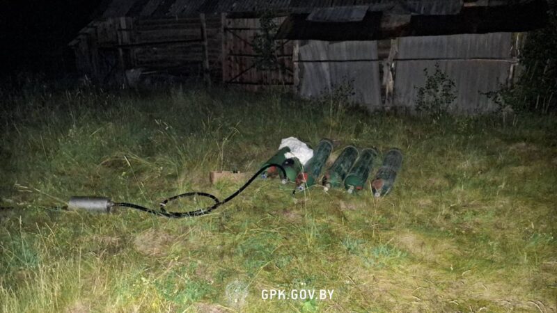 гродненские пограничники задержали