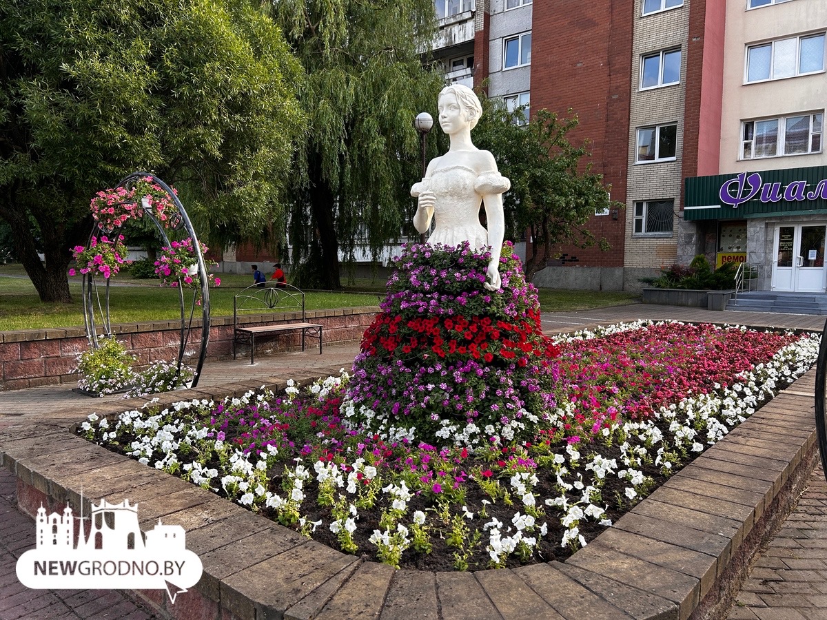 В Гродно появились новые композиции из цветов