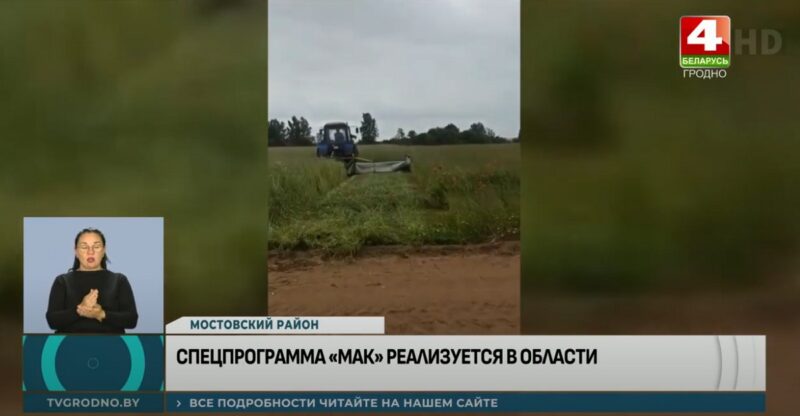 В рамках операции "Мак"