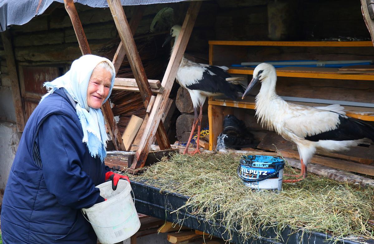 Жігіттердің 3 минуттық эротикалық секс видеолары және т.б Порно сперму пизду көбік