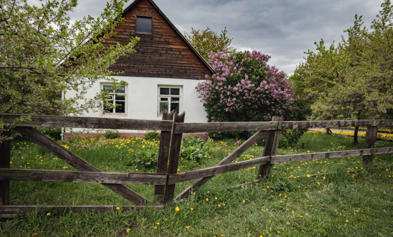 Как живут садоводческие