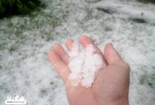 На дачах под Гродно