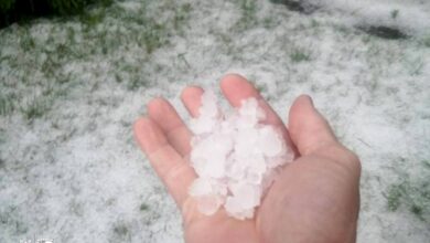 На дачах под Гродно
