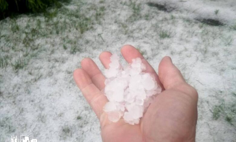 На дачах под Гродно