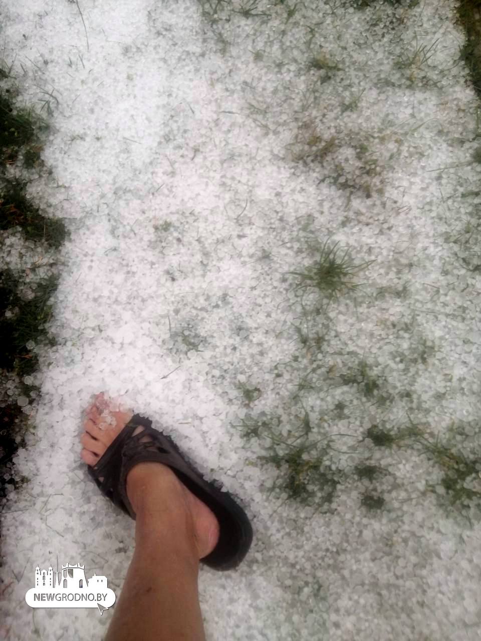 На дачах под Гродно