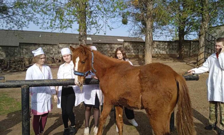 Преврати увлечение животными