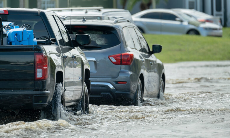 Водитель из Гродно показал