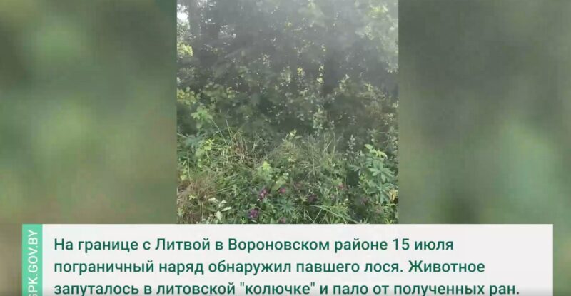 На границе Беларуси