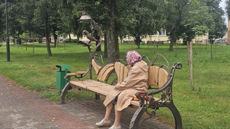В Лиде
