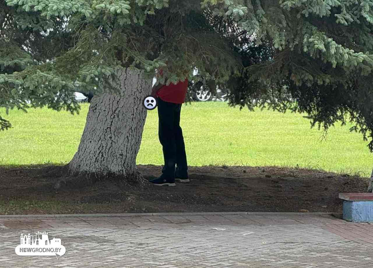 Любители пива