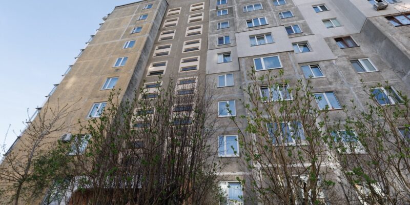 белорусы  