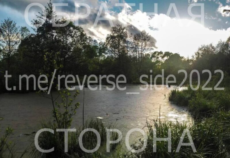 за выходные в Беларуси