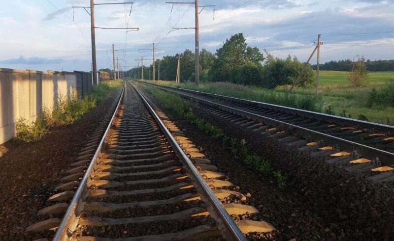 Под Минском трое детей