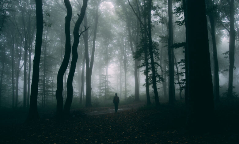 Утром 27 июля в службу спасения поступило тревожное сообщение: в лесном массиве возле агрогородка Подлабенье (Гродненский район) пропал 36-летний мужчина.