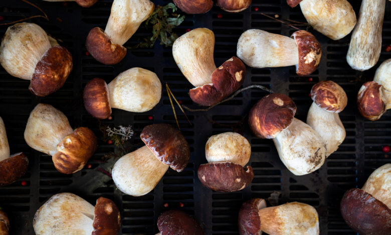 Гродненцы в одном месте нашли